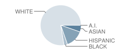 Ursuline Academy of Dallas Student Race Distribution