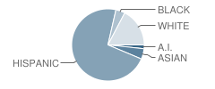 Valley Grande Adventist Academy Student Race Distribution