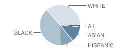 Westbury Christian School Student Race Distribution