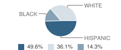 Town East Christian School Student Race Distribution