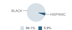 New Beginnings Academy Student Race Distribution
