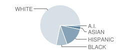 Family Christian Academy Student Race Distribution