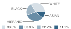 Genesis Christian Educational Institute School Student Race Distribution