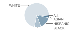 Harvest Schools Student Race Distribution