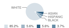 Our Savior Lutheran School Student Race Distribution