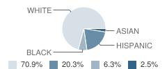 Redeemer City School Student Race Distribution