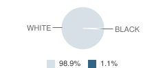 Realms of Inquiry School Student Race Distribution