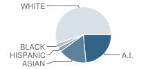 Country Day School Student Race Distribution