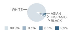 Denbigh Baptist Christian School Student Race Distribution