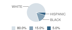 Federal Childrens Center School Student Race Distribution