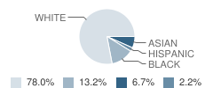 Fork Union Military Academy Student Race Distribution