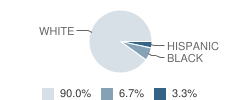 Greenbrier Manor School Student Race Distribution