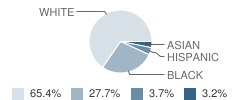 Hampton Christian Schools Student Race Distribution