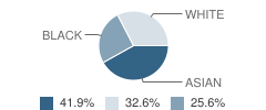 Iqra Academy Student Race Distribution