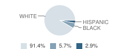 Midland Christian Academy Student Race Distribution