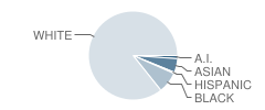 Portsmouth Catholic Elementary School Student Race Distribution