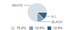 Roanoke Adventist Preparatory School Student Race Distribution