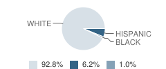 St John Evangelist Elementary School Student Race Distribution