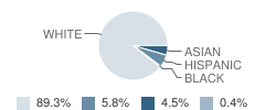 St Theresa School Student Race Distribution