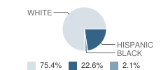 St William of York Catholic School Student Race Distribution