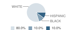 Eden Academy Student Race Distribution