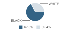 Dominion Academy Student Race Distribution