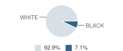 Minnick Education Center - Wytheville School Student Race Distribution