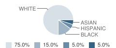 Forever Young Montessori School and Day Student Race Distribution