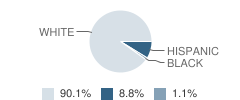 Assumption School Student Race Distribution