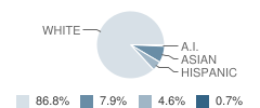 Bright Water School Student Race Distribution