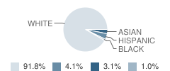 Cornerstone Christian Academy Student Race Distribution