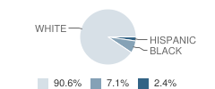 Everett Christian School Student Race Distribution