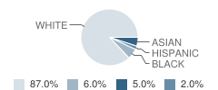 Faith Lutheran School Student Race Distribution