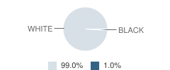 Northwest Yeshiva High School Student Race Distribution