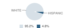 Salmonberry School Student Race Distribution