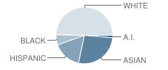 St Bernadette School Student Race Distribution