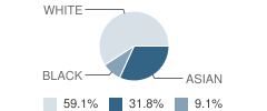 St Lukes Preschool & Kindergarten School Student Race Distribution