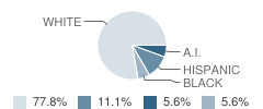 Sunfield School Student Race Distribution