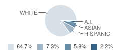 All Saints School - Fire Campus Student Race Distribution