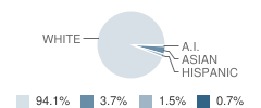 Valley Christian Elementary School Student Race Distribution