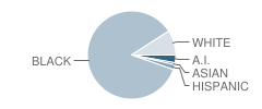 Christ-St John's Lutheran School Student Race Distribution