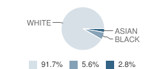 East Twin Lutheran School Student Race Distribution