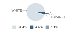 Our Lady Queen of Heaven Elementary School Student Race Distribution