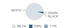 Resurrection Catholic School Student Race Distribution