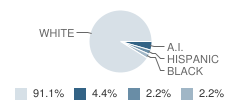 St John's Lutheran School Student Race Distribution