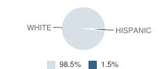 St Mary School Student Race Distribution