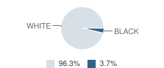 Tomah Baptist Academy Student Race Distribution