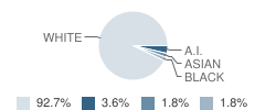 Trinity Lutheran School Student Race Distribution