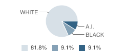 Northwest Passage School Student Race Distribution