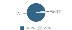 Kwigillingok School Student Race Distribution